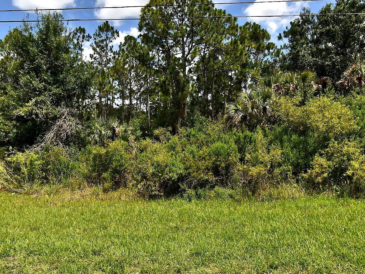 PORT CHARLOTTE SUB 30 - Land