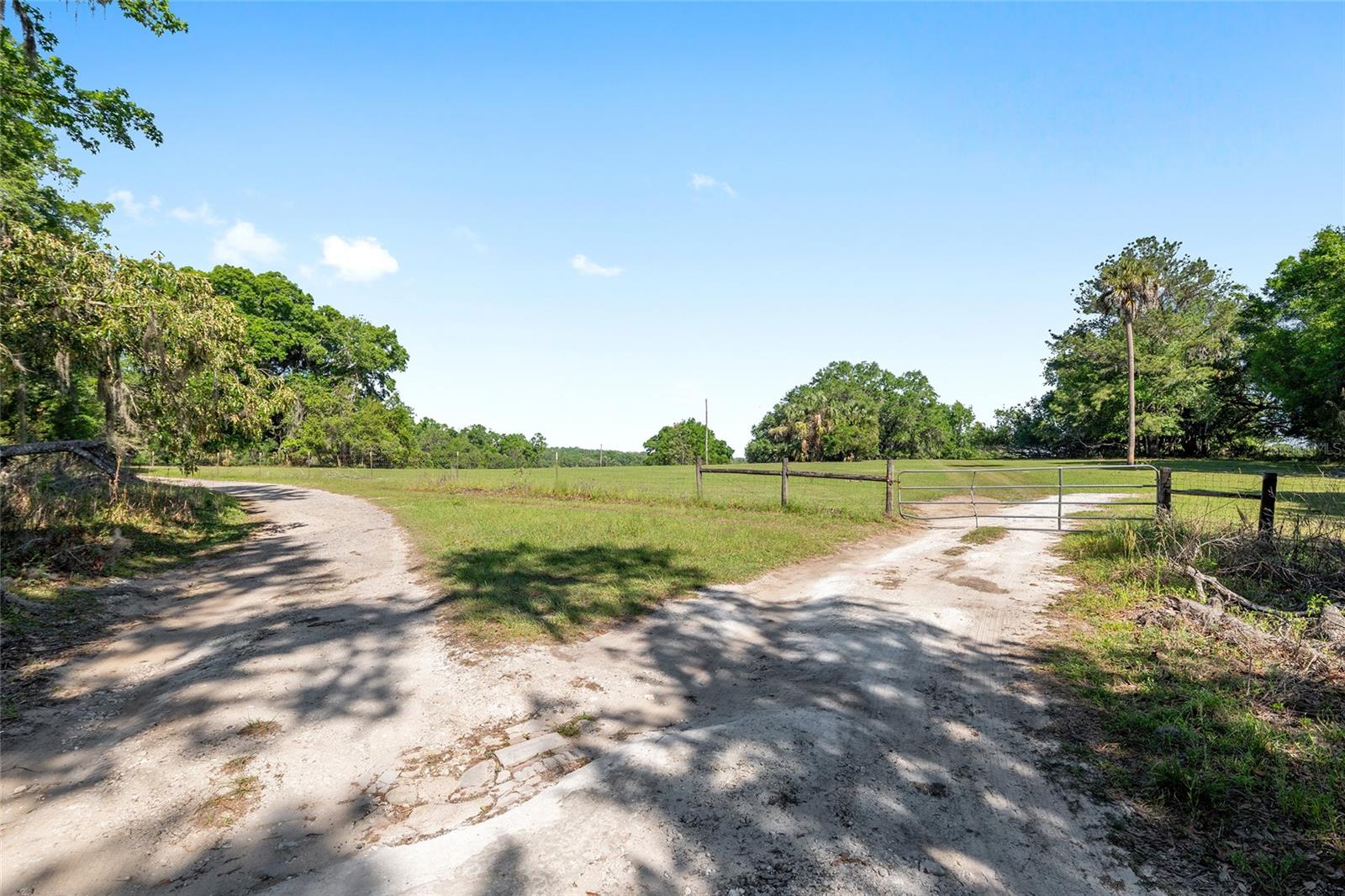 POWERS PLANTATION - Land