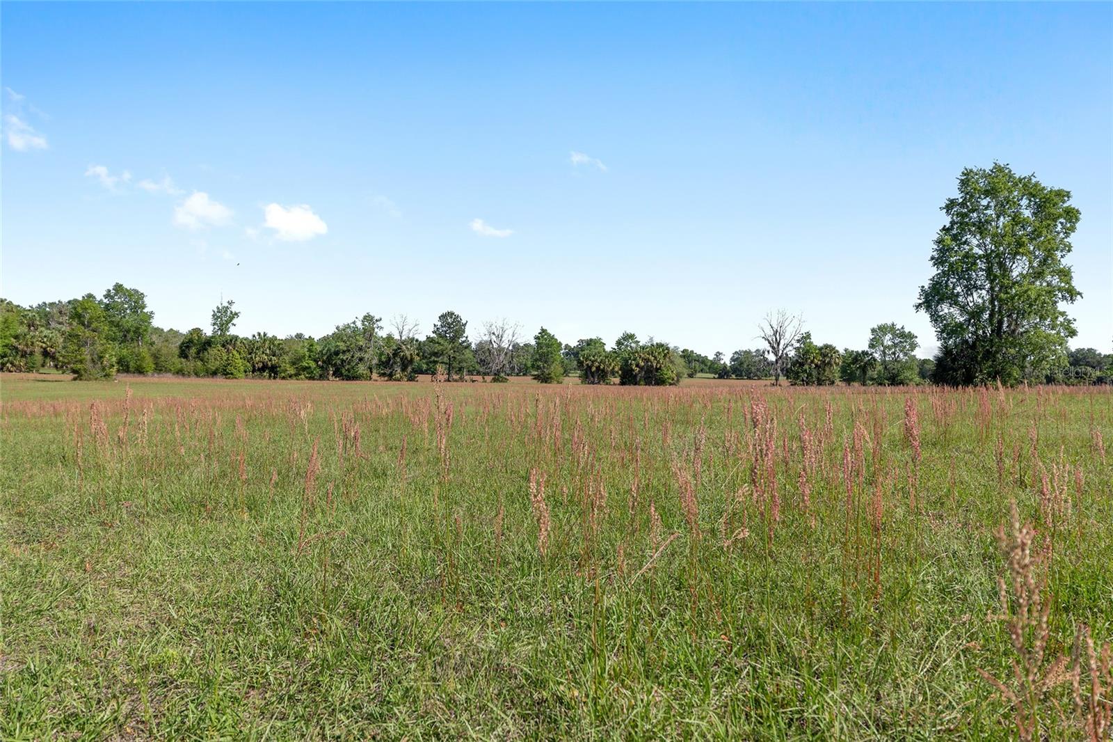 POWERS PLANTATION - Land