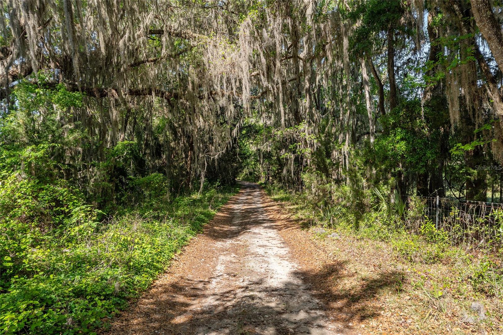 POWERS PLANTATION - Land