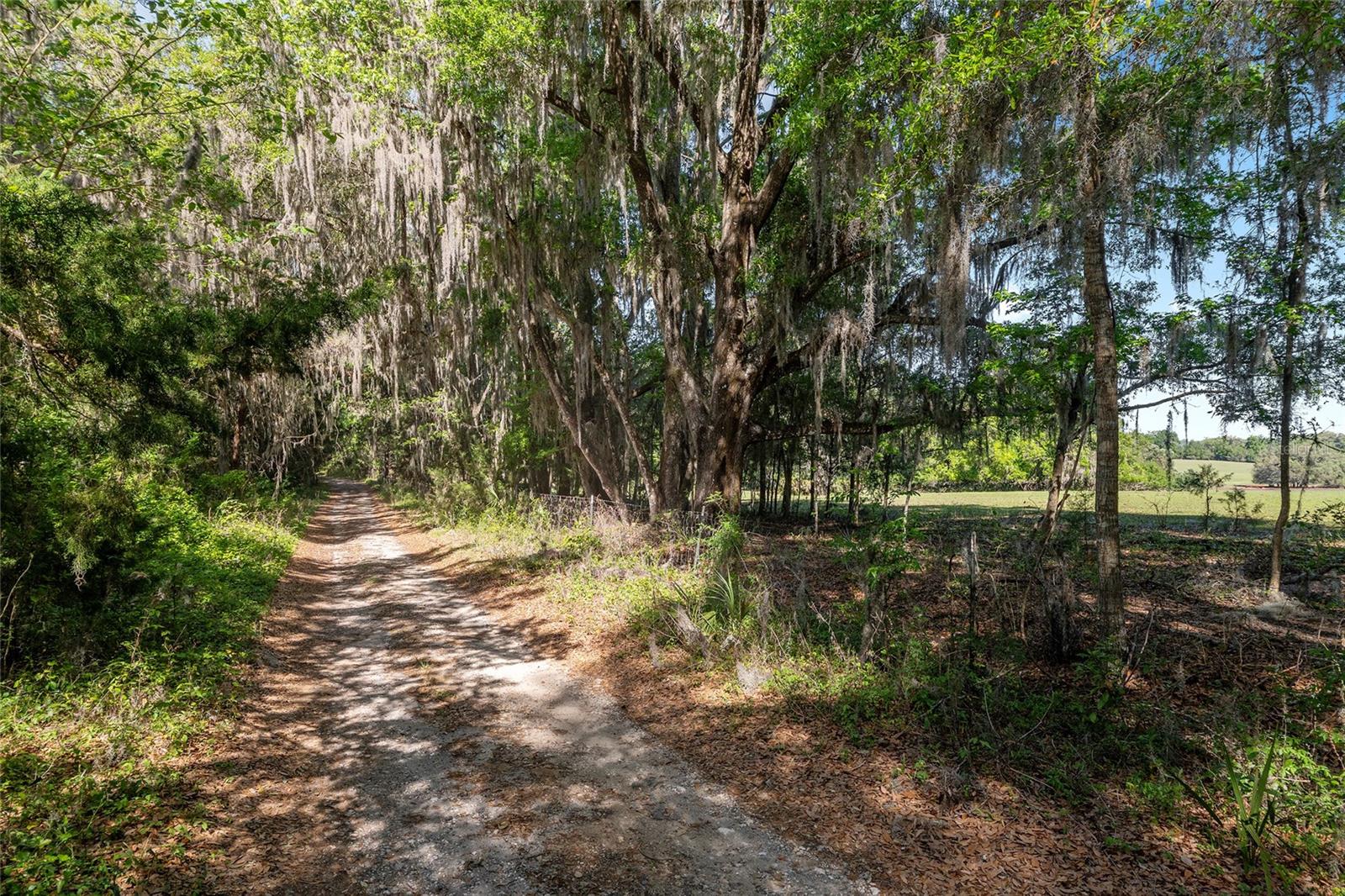 POWERS PLANTATION - Land