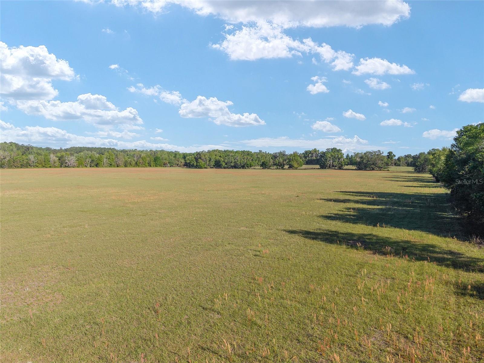 POWERS PLANTATION - Land