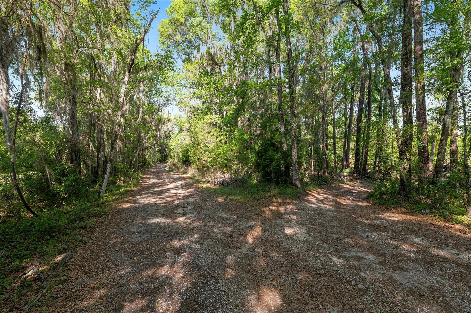 POWERS PLANTATION - Land