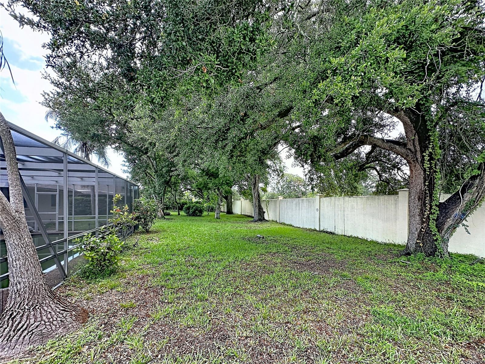 VENICE GARDENS - Residential