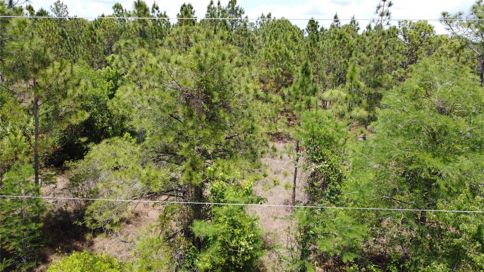 CAPE ORLANDO ESTATES - Land