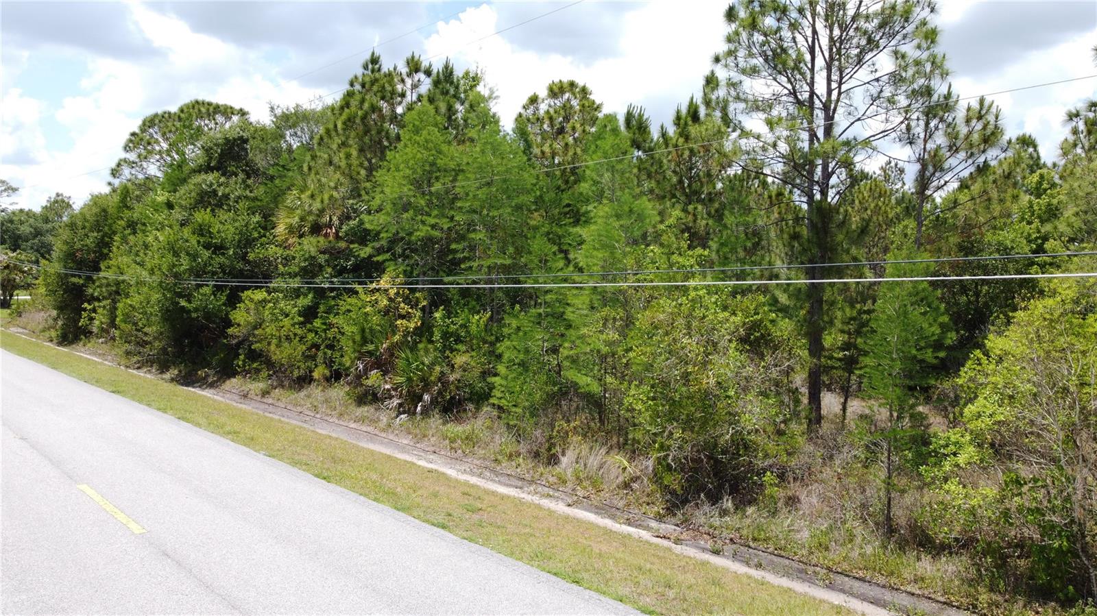 CAPE ORLANDO ESTATES - Land