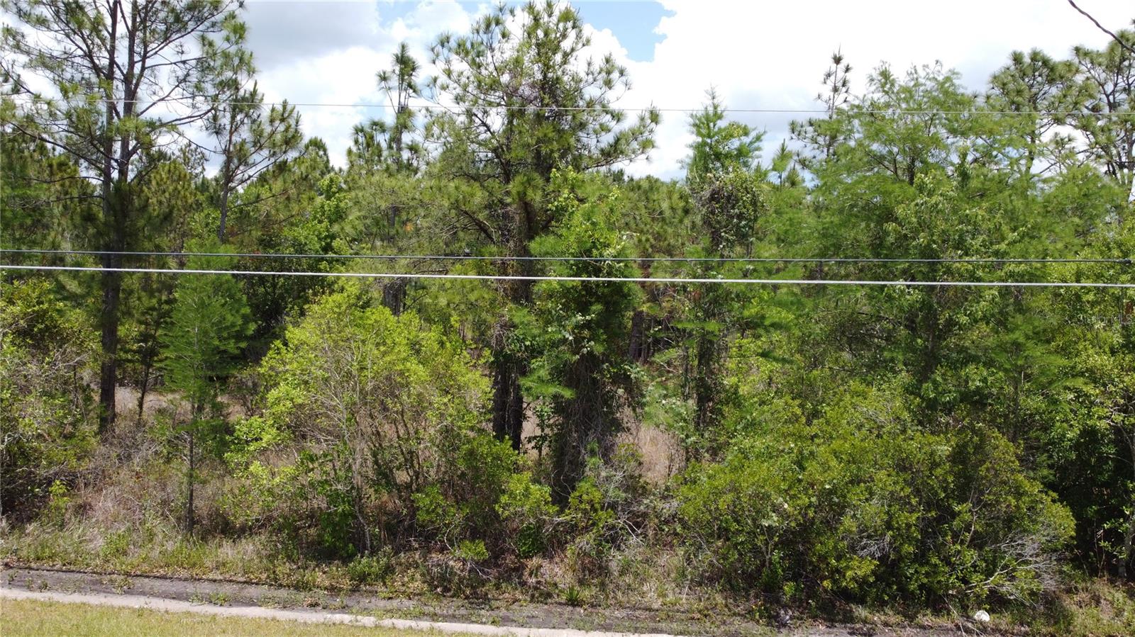Great lot in the beautiful Wedgefield community, over 1 acre lot. Site Plan DRAFT has been done for a 3000 SF house with garage on the lot which shows very minimal wetland impact. Please see attachment.
Country living at its best. Very quiet and spacious land to build your dream home. Conveniently located on east side of Orlando. Close to Waterford Lakes Town Center, downtown Orlando, Disney, Airport, space coast, Kennedy Space Center, and all attractions. Close to Hal Scott Regional Preserve & Park and Wedgefield Golf Club & Restaurant.