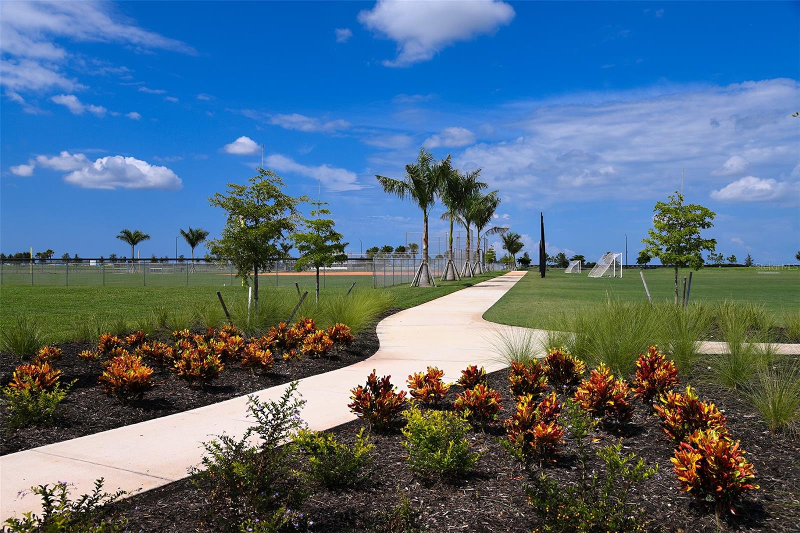 THE TOWNS AT SKYE RANCH - Residential