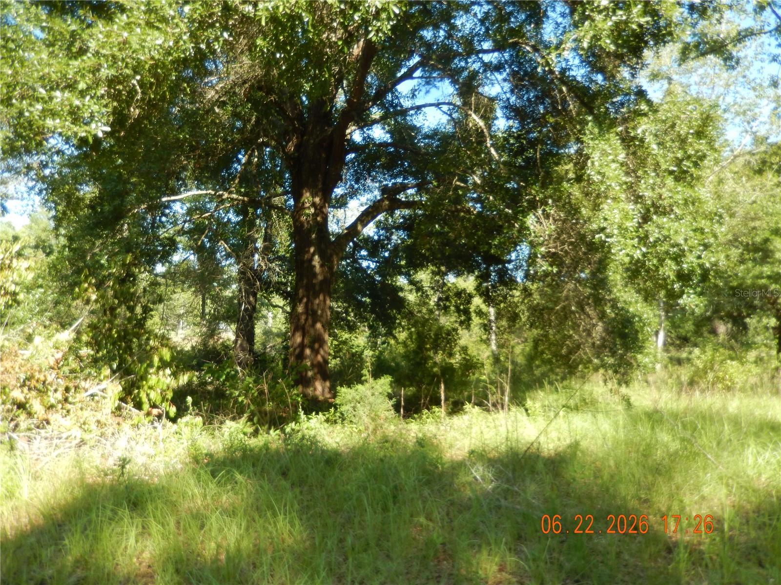 SOUTH WIND ADDITION - Land