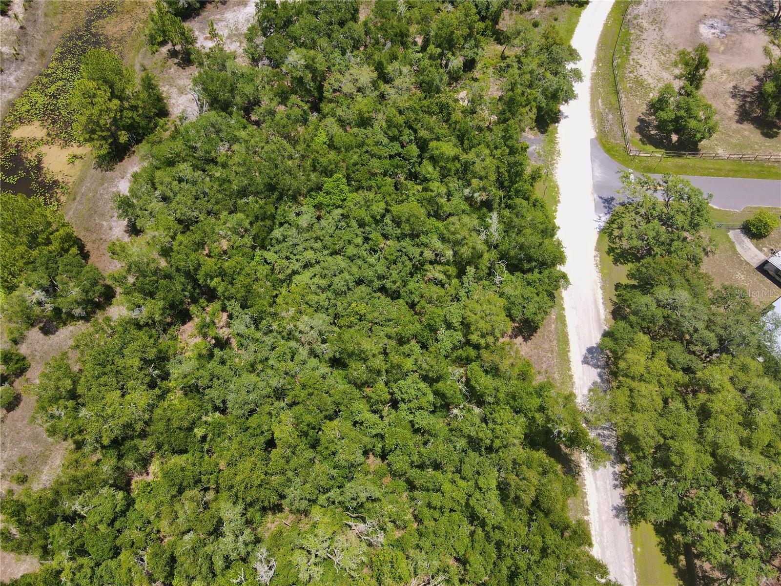 RIDGE MANOR ESTATE - Land