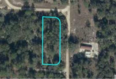 Get away from it all. Build your dream home on this amazing double lot. You get 2 corners, making this lot a great building lot. Close to Hwy 27, and Hwy 19 makes this lot centrally located in a quickly growing area of Florida. Property is on NE 134th Terrace between NE 52nd Street, and NE 51st Place. Motivated seller.