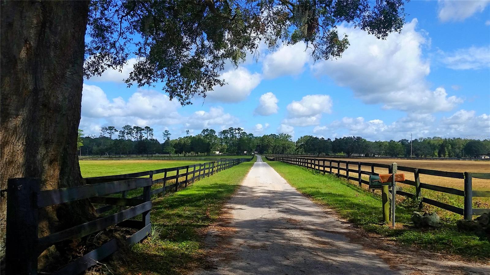 Reach over 34 million customers within a six hour drive of this location in the heart of Central Florida's hottest industrial/distribution corridor.  These 119+/- acres near I-75/Hwy 326 interchange offer both heavy power and rail services within an Opportunity Zone.  Robust labor market of 287,330 drawing from three county area. Perfect location for e-commerce, distribution or manufacturing.  Current access to I-75 via 63rd Street flyover.  New $76.2 million I-75 interchange funded and scheduled to begin construction  Q4 2025.  Corporate neighbors include Amazon, FedEx, Autozone, Chewy, and Green Thumb Industries.  Survey, Phase I environmental, geo tech testing, threatened and endangered studies complete and clear.  

Excellent Workforce
Opportunity Zone
Visible From I-75
Heavy Power and Rail Available
Ideal Location for E-Commerce, Distribution or Manufacturing