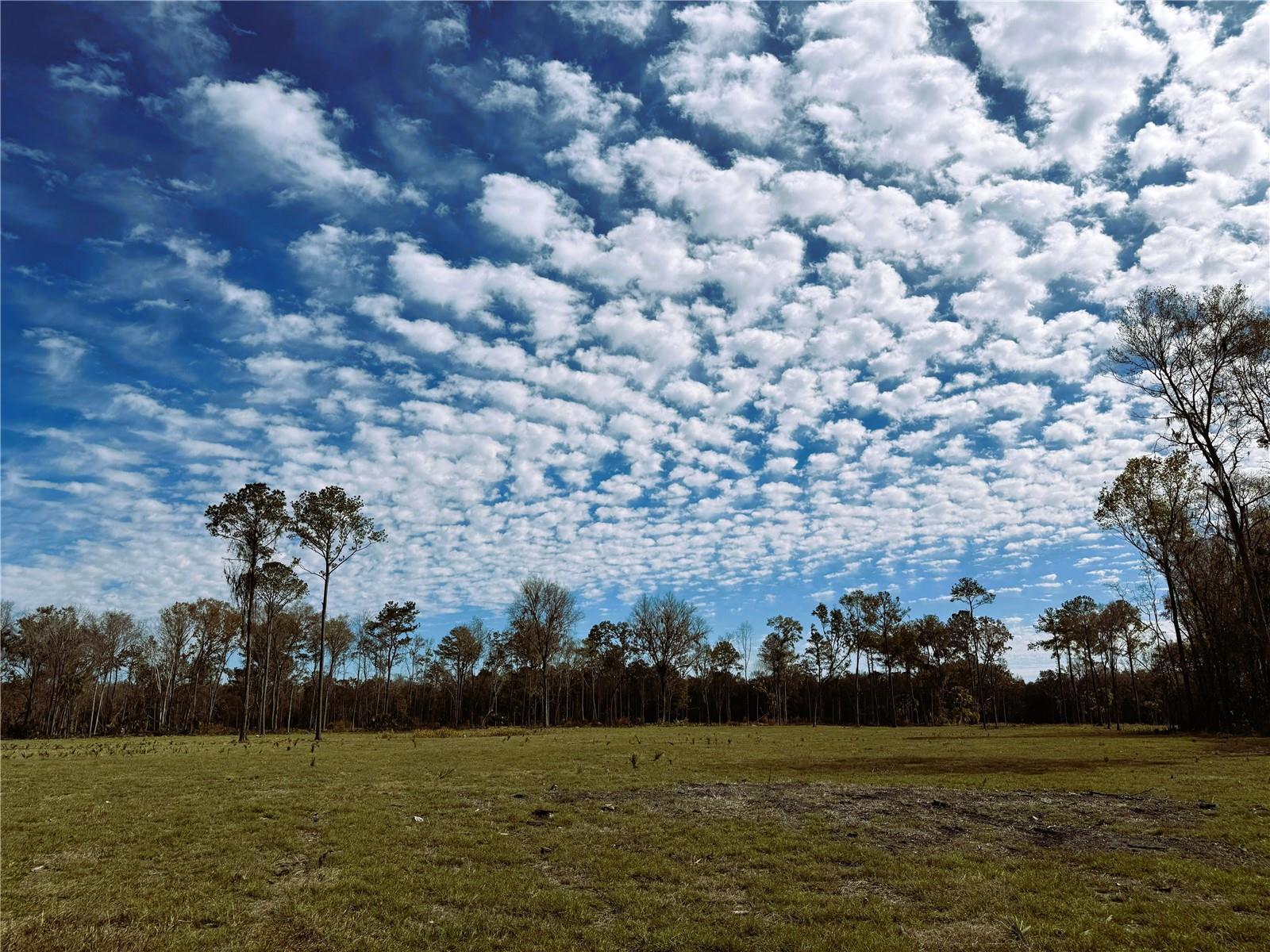 This listing is for Dungarven Ridge Lot #3. 10.03ac in the heart of Horse Country located off of quiet NW 193rd St. A Must SEE. Beautiful pasture with large mature Live Oaks, and towering Longleaf Pines. Incredible rolling terrain. Minor Deed Restrictions to protect the integrity of your investment but give you the freedoms you would expect when owning land. Less than 25 minutes from Ocala and Gainesville, Great Location. 5 minutes from the WEC Ocala Jockey Club (recently purchased by the owners of the World Equestrian Center), 25 minutes from the World Equestrian Center. OWNER FINANCING AVAILABLE 20% Down, 10% Interest, based on 10 year amortization, 3yr fixed, 3 year balloon, Payments = $2,547/mo (Buyer pays all Closing Costs on Owner Financed Purchases includes Doc Stamps on Deed & Mortgage, Intangible Tax on Mortgage, Title Insurance, $100 Loan Fee, $10/mo Collection Fee...)....Additional Acreage Available - call for details. LA will show you all available inventory upon request.