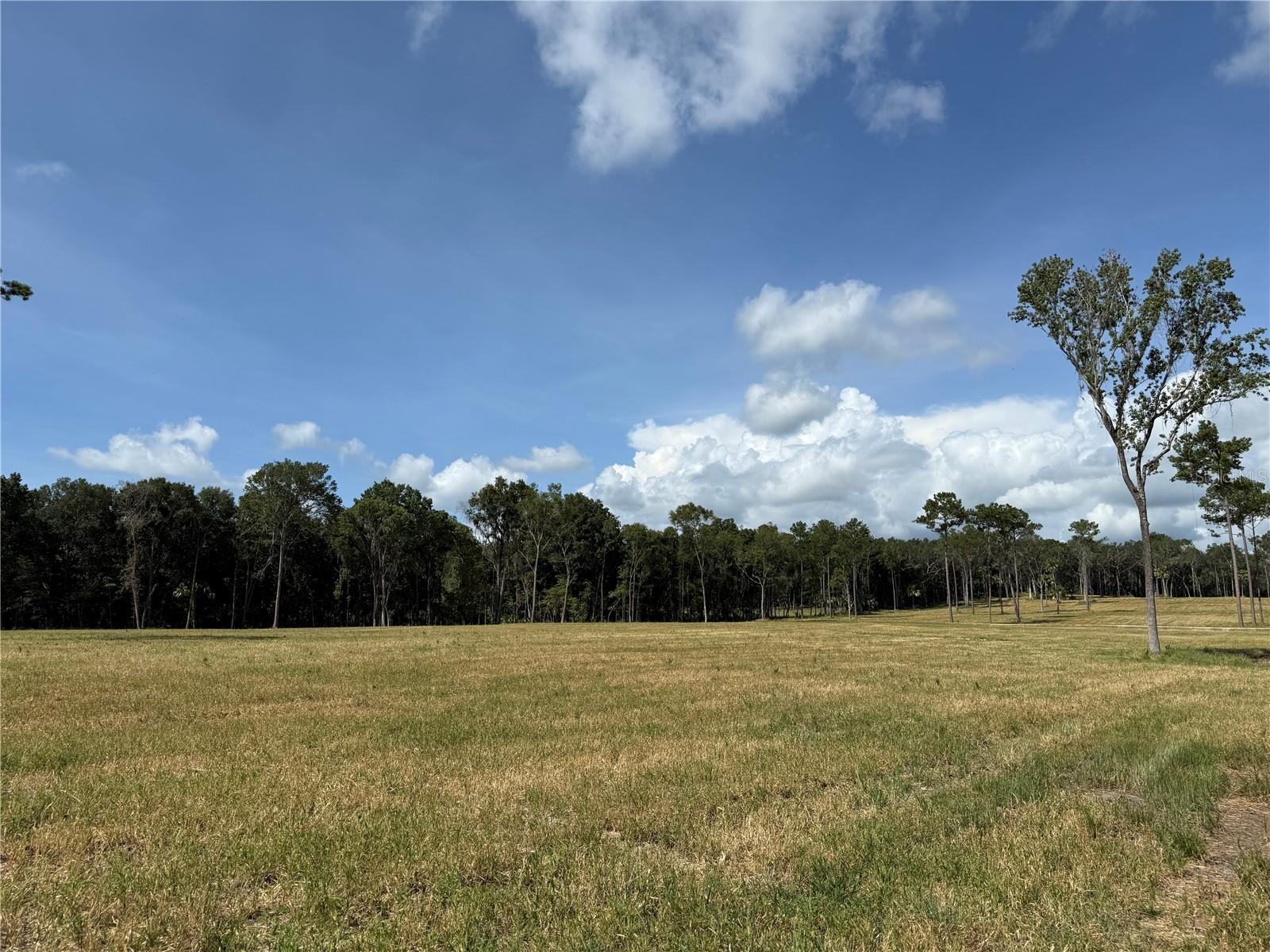 DUNGARVEN RIDGE - Land