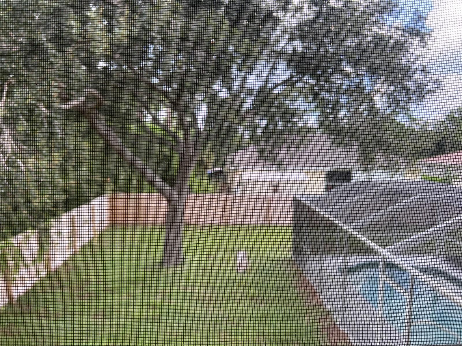 PORT CHARLOTTE SUB 10 - Residential