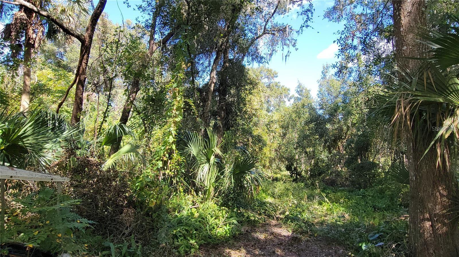 BLUE LAKE ADD/DELAND - Land
