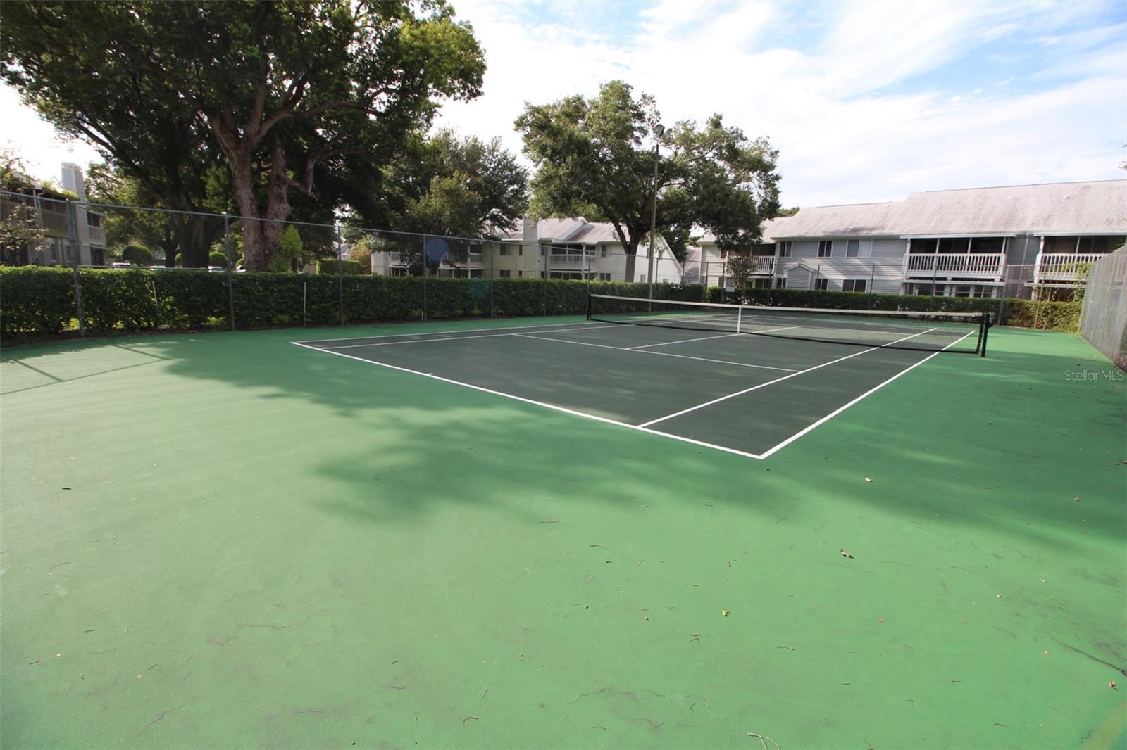 COACH HOMES AT DOVER VILLAGE - Residential