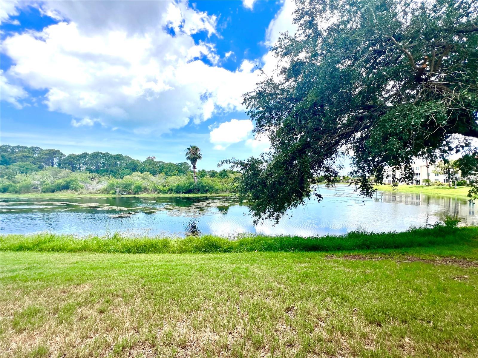 PINESTONE AT PALMER RANCH - Residential