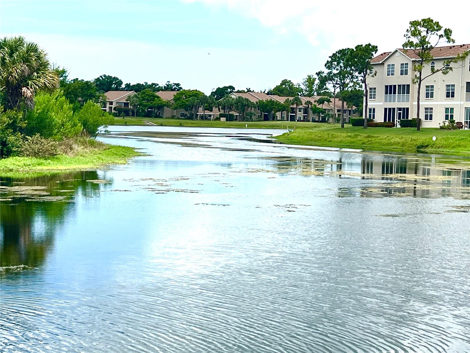 PINESTONE AT PALMER RANCH - Residential