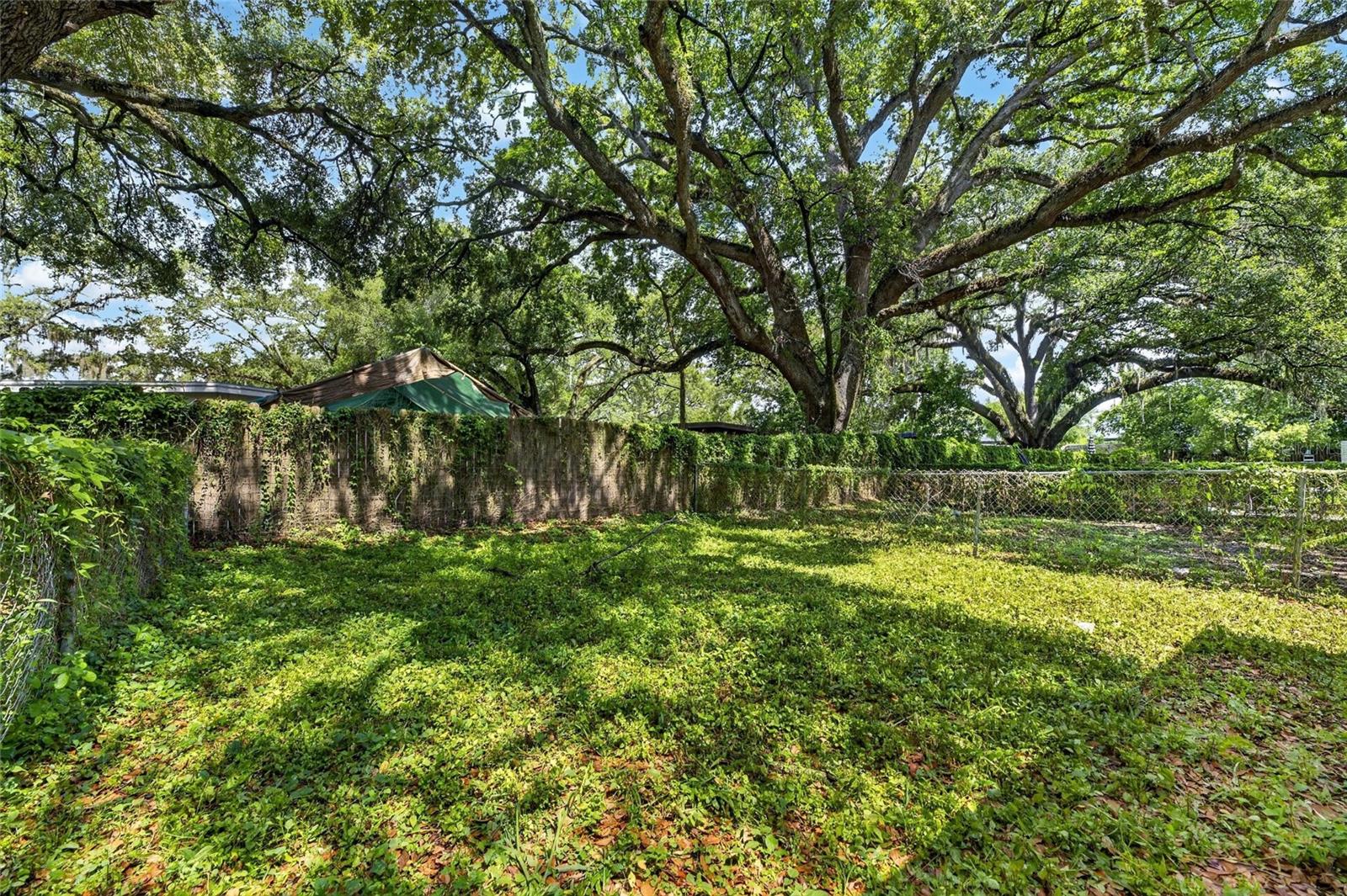 DRUID HILLS REV - Residential Income
