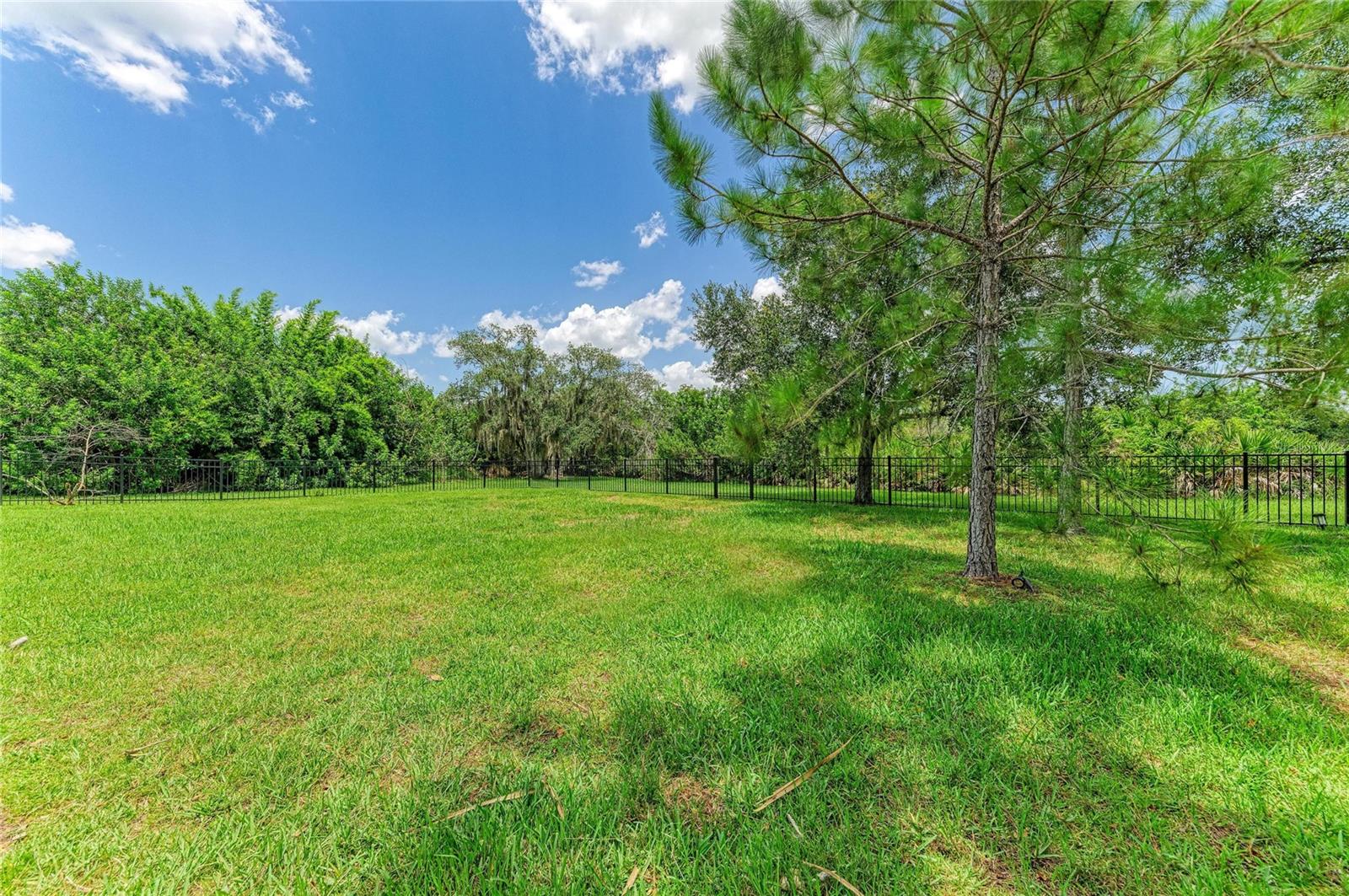 PRESERVE AT PANTHER RIDGE PH III - Residential