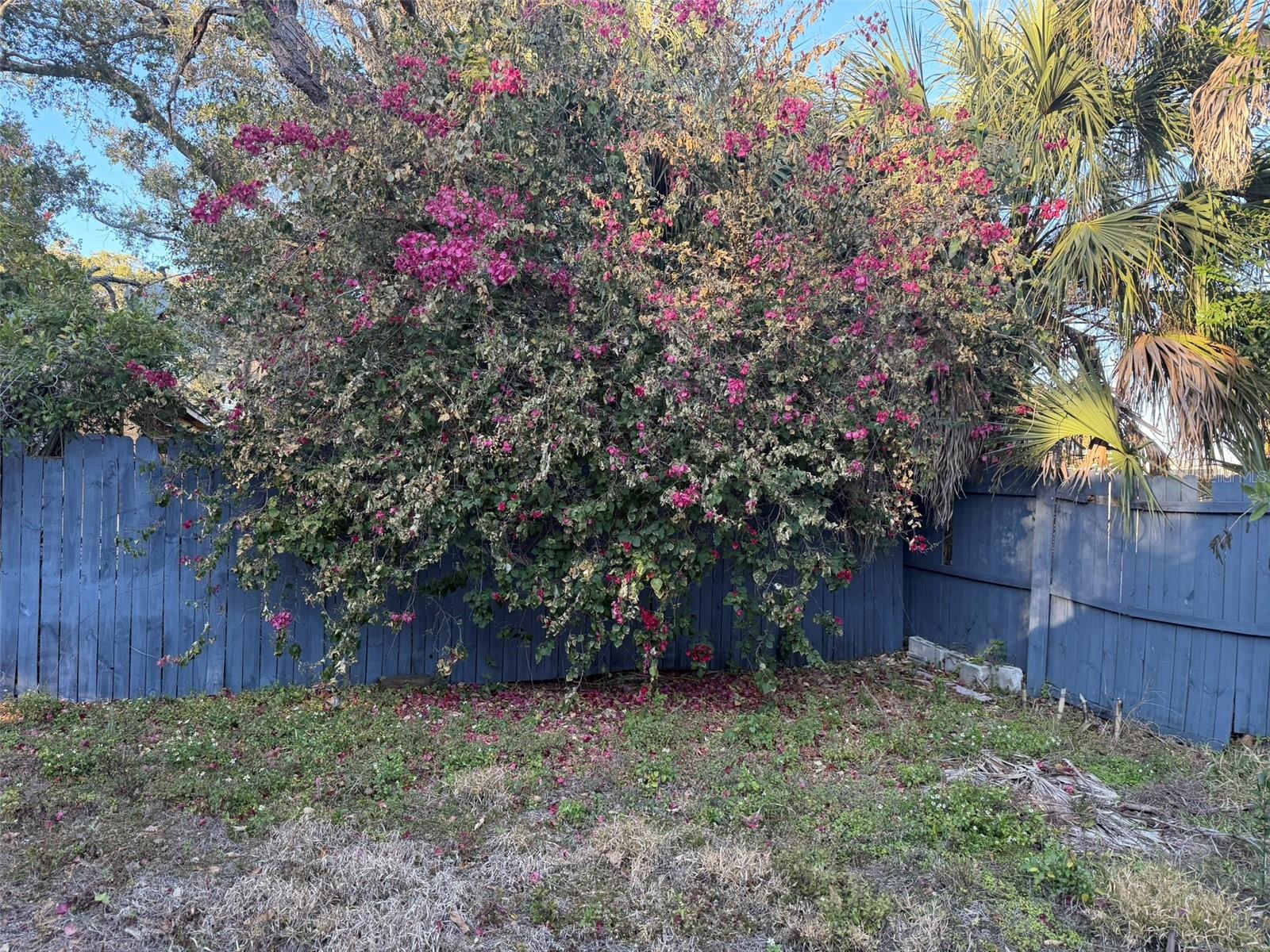 WINIFRED PARK - Residential