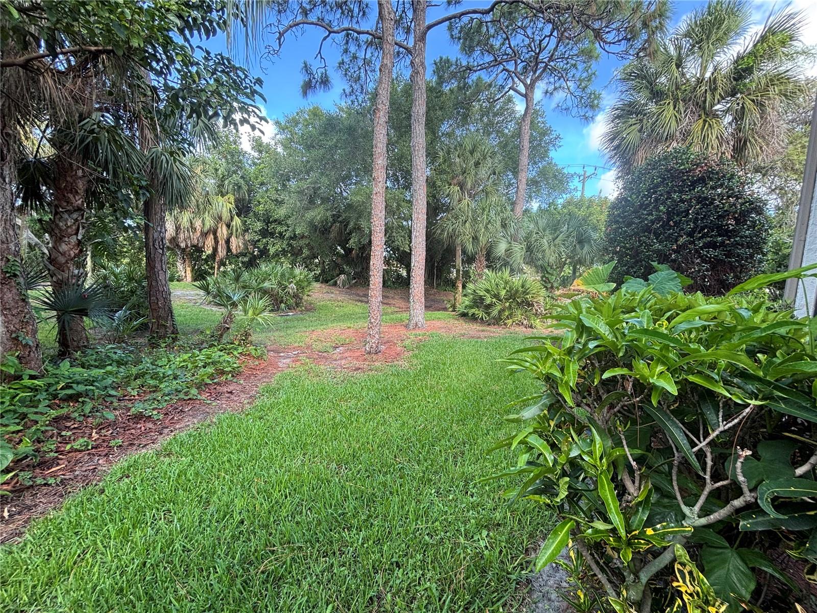 WILDEWOOD SPGS STAGE 3B OF SPRINGDALE - Residential
