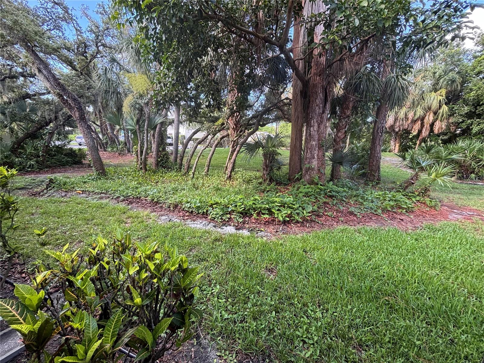 WILDEWOOD SPGS STAGE 3B OF SPRINGDALE - Residential