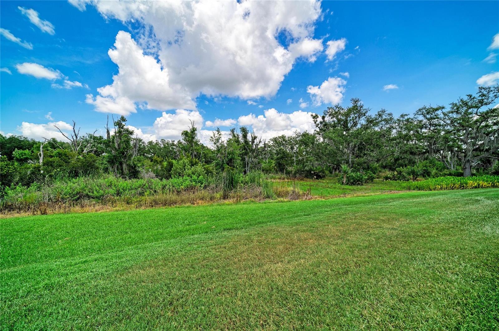 BRIDGEWATER PH III AT LAKEWOOD RANCH - Residential