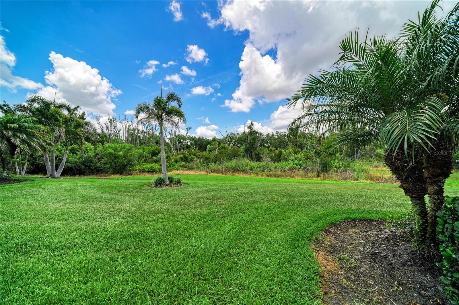 BRIDGEWATER PH III AT LAKEWOOD RANCH - Residential