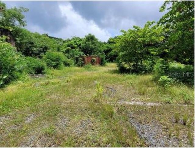 Land of 49.9869 Cuerdas in Guaynabo with Future Development Potential

Excellent investment opportunity in Guaynabo. For sale: a large parcel of land consisting of approximately 49.9869 cuerdas / 48.55 acres, located in the Barrio Río area, north of and interior to Km. 24.0 of PR-1.

The property offers significant land area within the metropolitan area, with access from a main road and a strategic location for investors, developers, or buyers with a medium- to long-term project vision. The parcel is zoned R-0 and B-1, corresponding to low-density residential and forest uses. Its highest and best use is oriented toward holding for future residential/multifamily development, subject to the corresponding permits, studies, and improvements.

Highlights:

49.9869 cuerdas / 48.55 acres
Location: Barrio Río, Guaynabo, PR
Interior access near Km. 24.0 of PR-1
Approximately 950 feet of frontage
Zoning: R-0 and B-1
Flood Zone: Zone X, outside the 500-year floodplain
Utilities available in the area: water, sewer, electricity, and telecommunications
Property with strong potential for an investor or developer