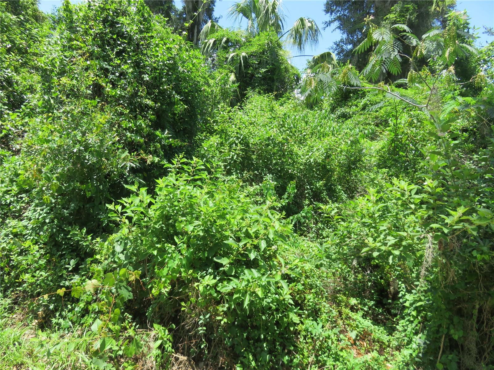 BELLEVIEW HEIGHTS ESTATES - Land