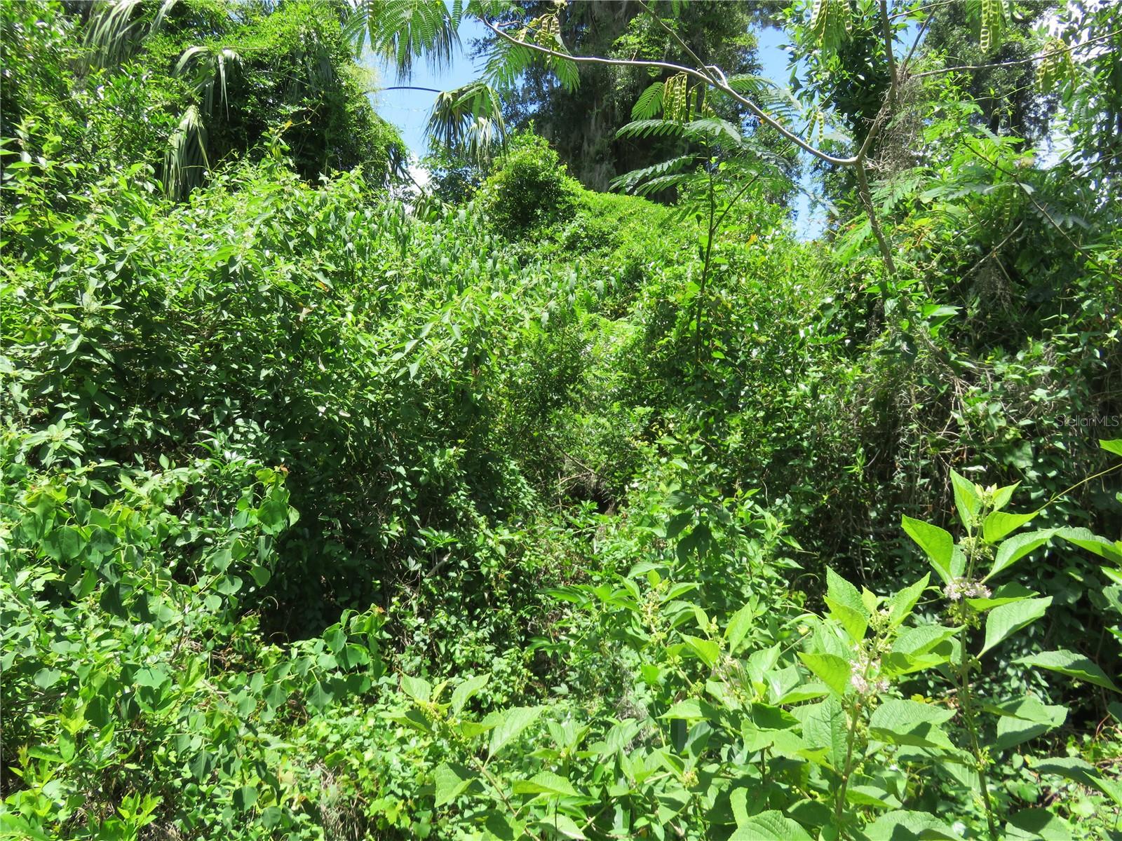 BELLEVIEW HEIGHTS ESTATES - Land