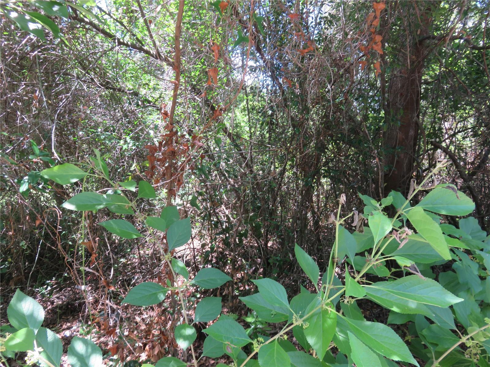 BELLEVIEW HEIGHTS ESTATES - Land