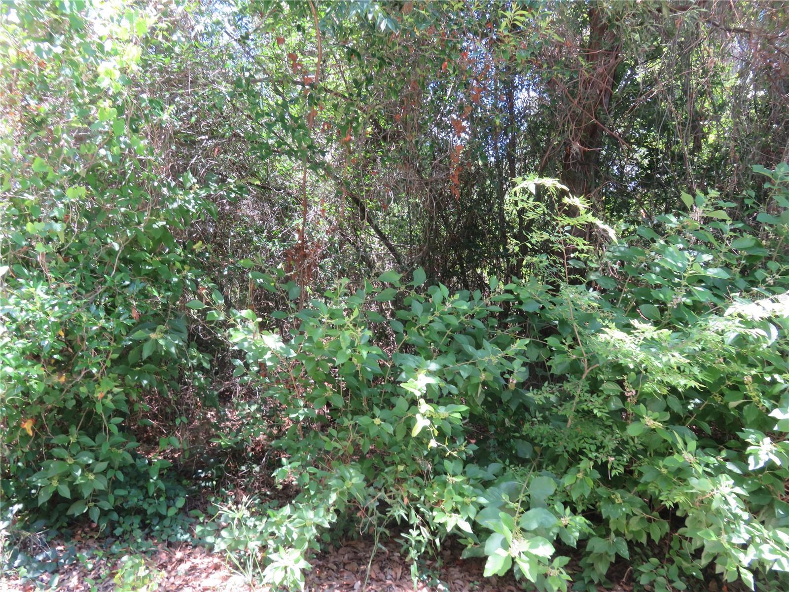 BELLEVIEW HEIGHTS ESTATES - Land