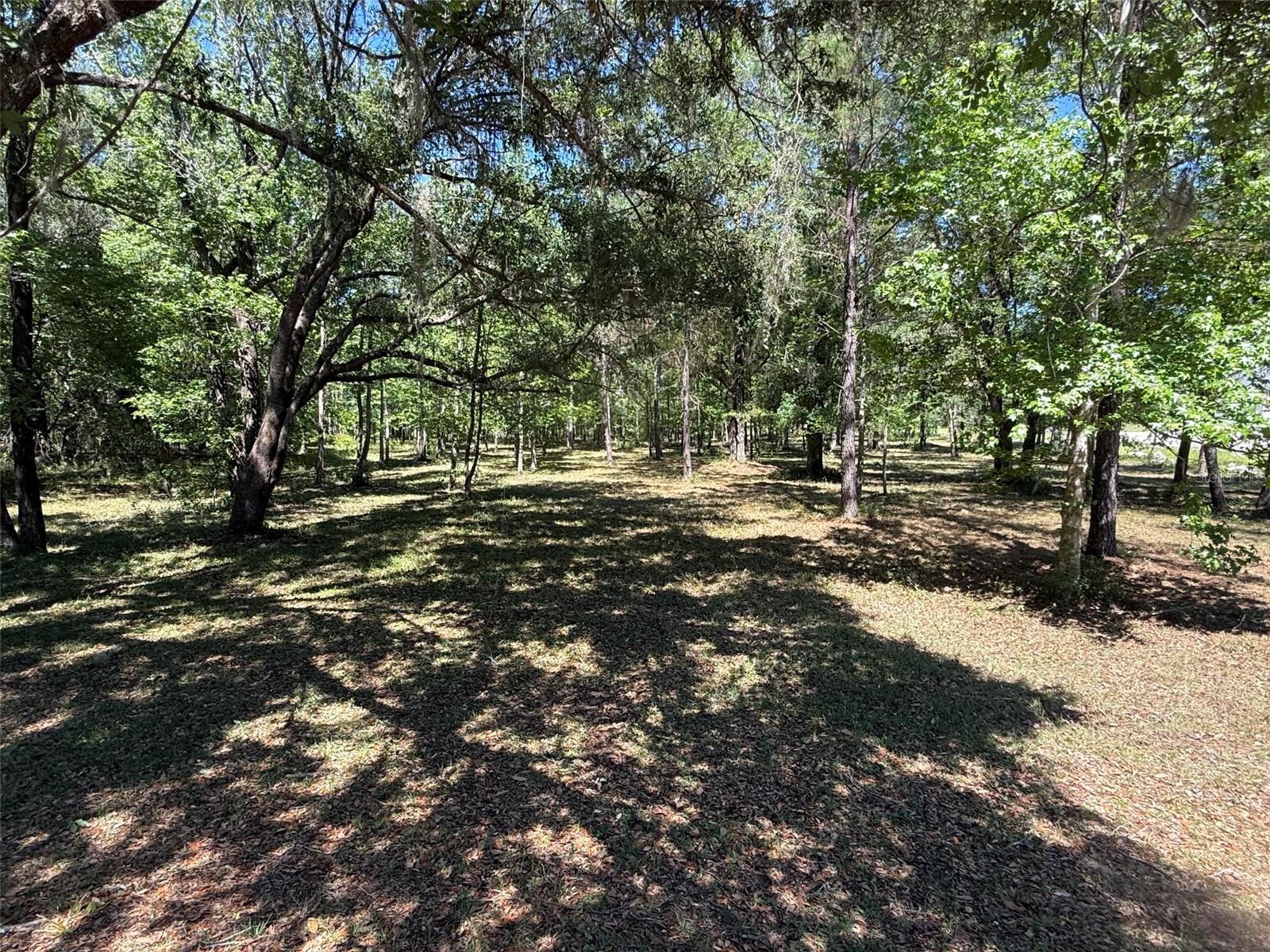 6 acre parcel ready for new home.  Property already has culvert and 50 loads of filler to set a home on the property. Close to main entrance property has been cleaned of the underbrush to allow owner to set up farm accordingly.  You may ride your horses throughout the community along the wide shoulders.  Enjoy beautiful Grandaddy Oaks on the property and throughout the community. Owner is builder that is open to build your own plans or any custom home plan he has built in the past.