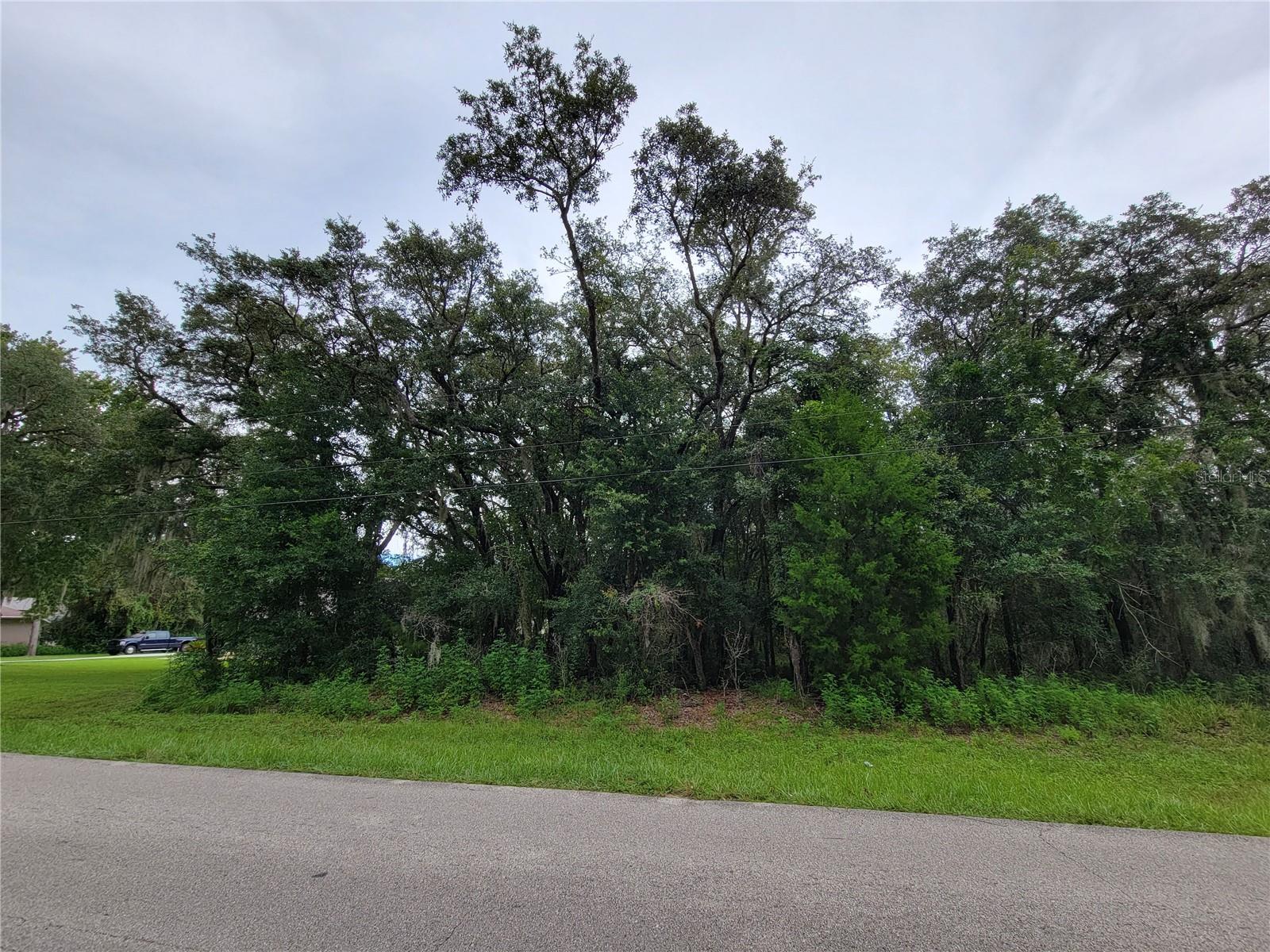 CITRUS HILLS 1ST ADD/MEADOWVIEW - Land