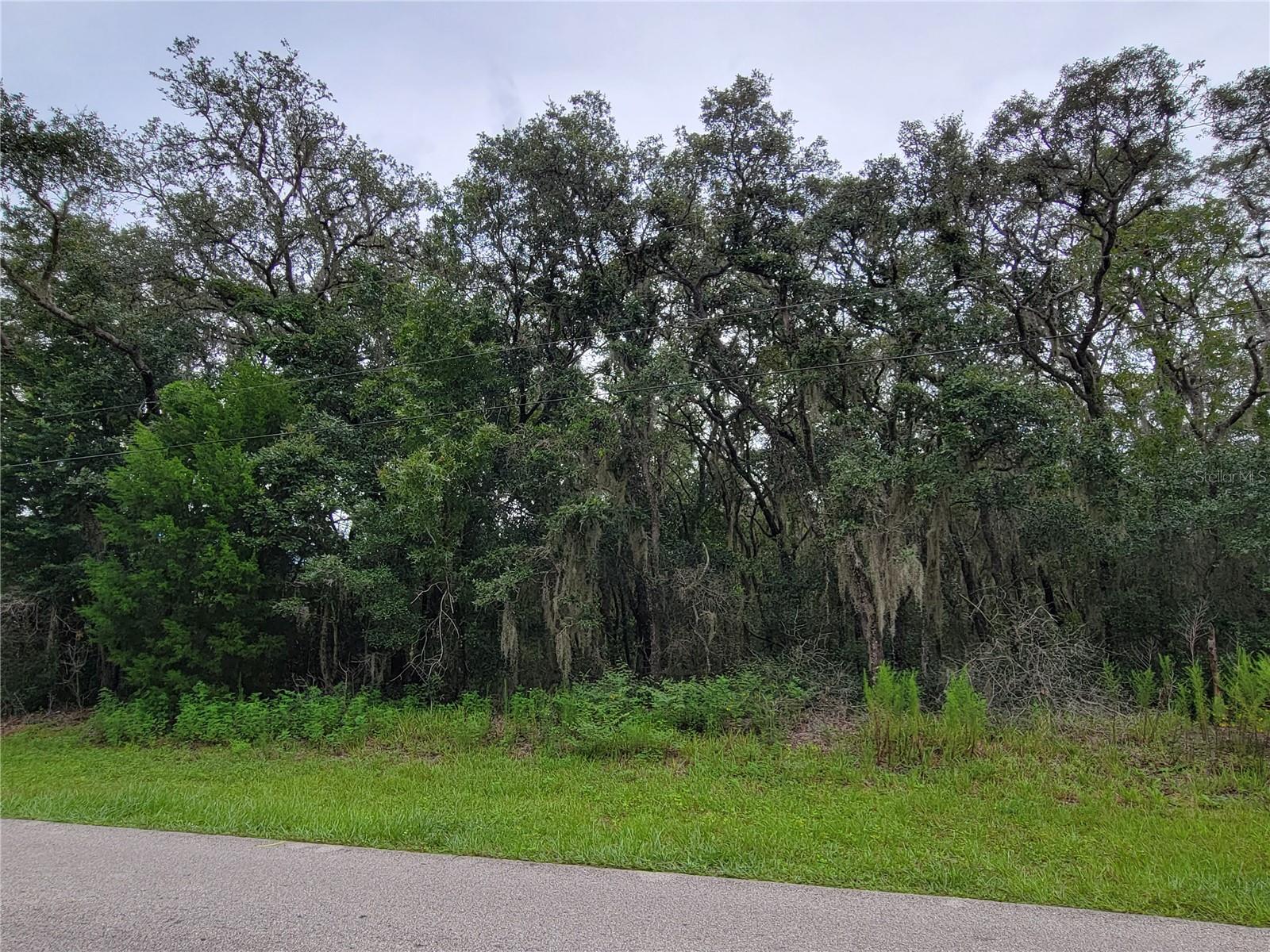 CITRUS HILLS 1ST ADD/MEADOWVIEW - Land