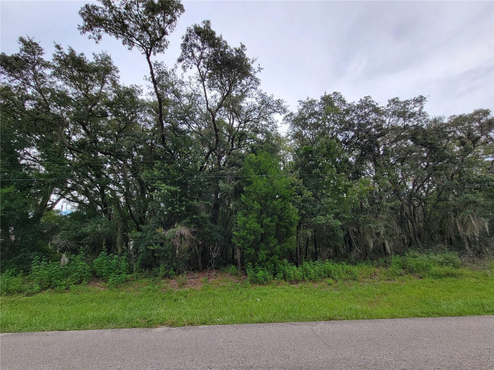CITRUS HILLS 1ST ADD/MEADOWVIEW - Land