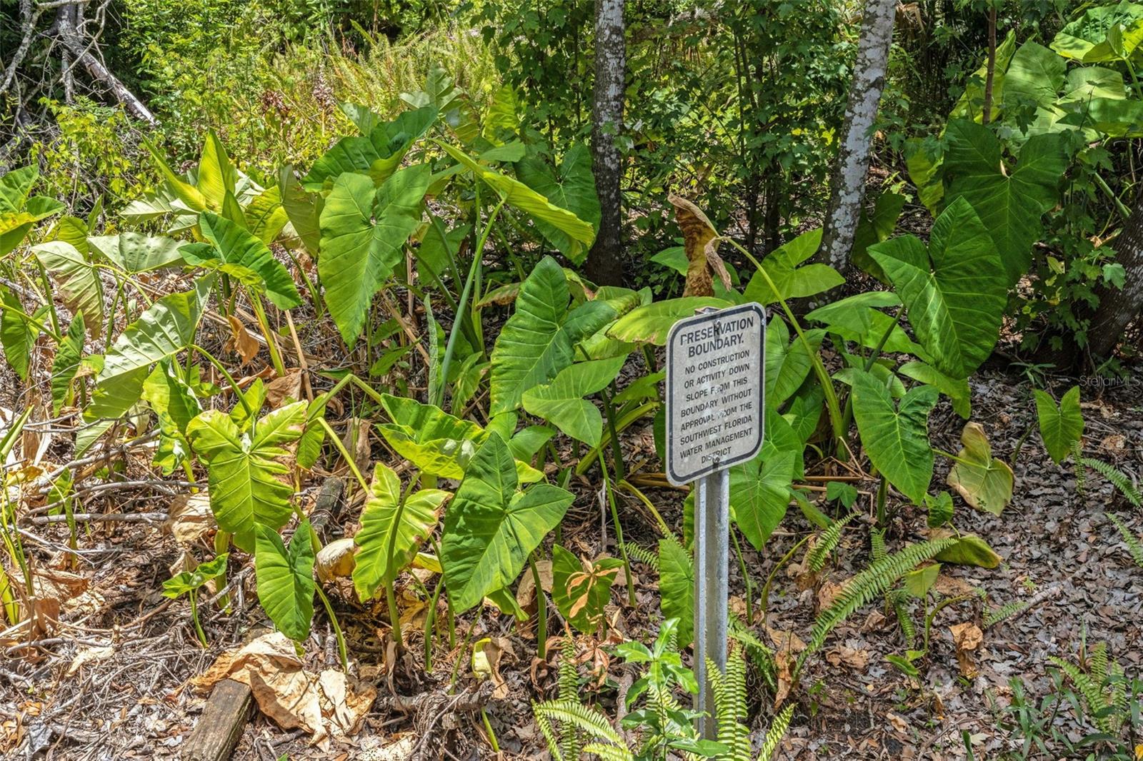 BRADEN RIVER LAKES - Residential