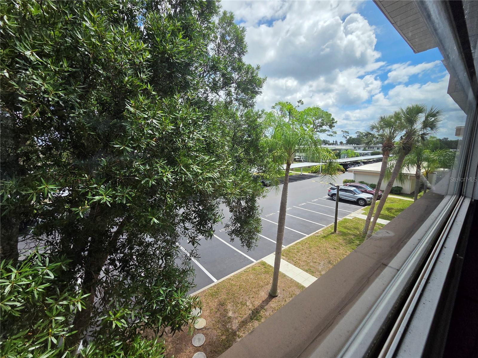 CAMBRIDGE HOUSE PORT CHARLOTTE - Residential