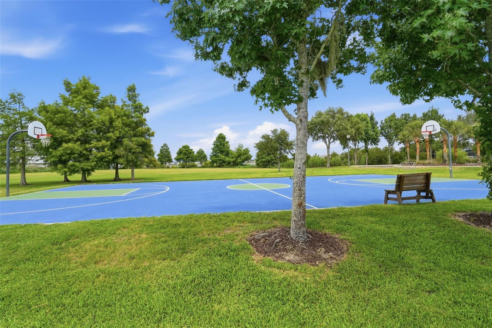 GROVELAND WATERSIDE POINTE PH 01 - Residential