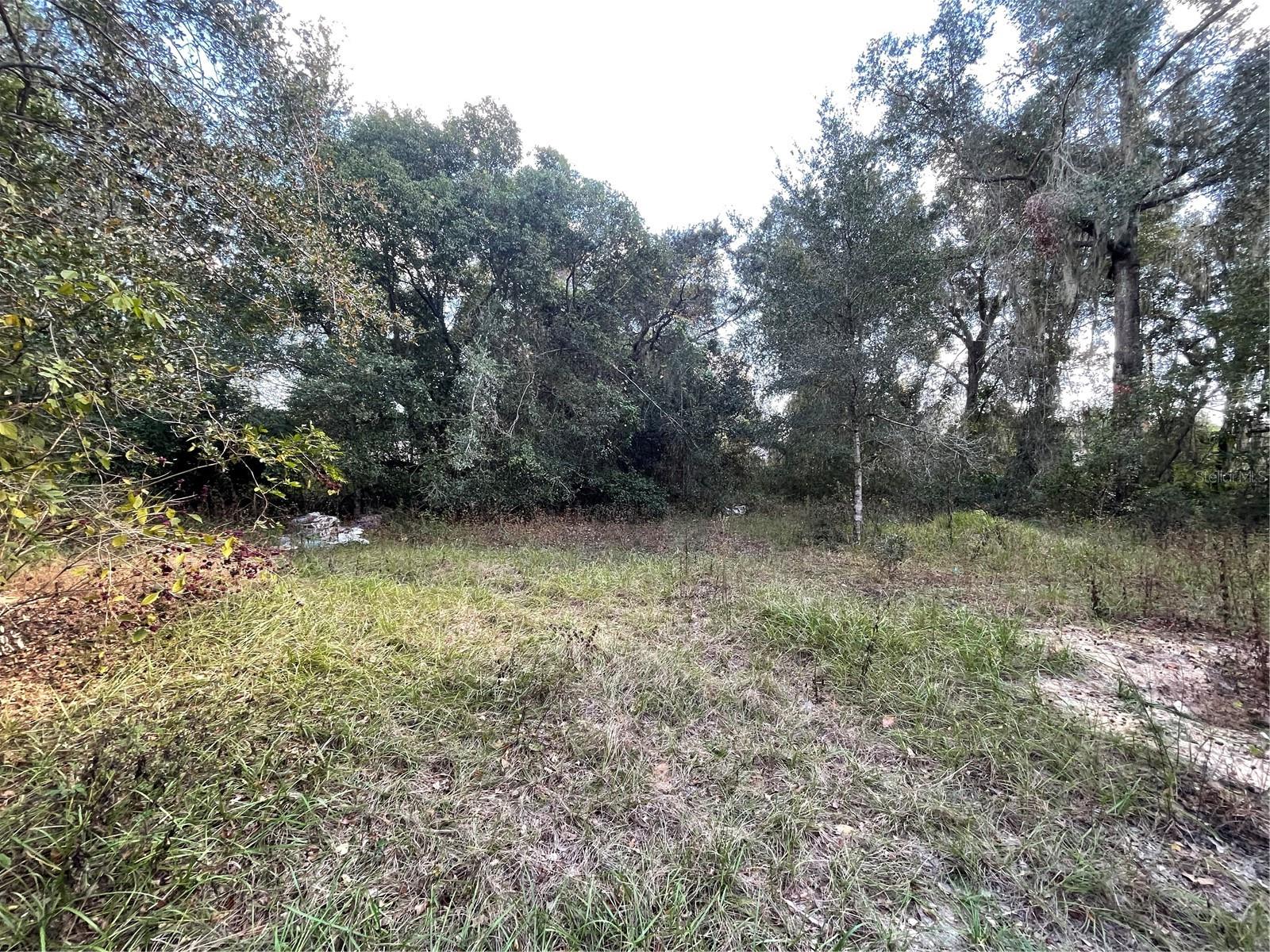 BIG SCRUB CAMPSITES - Land