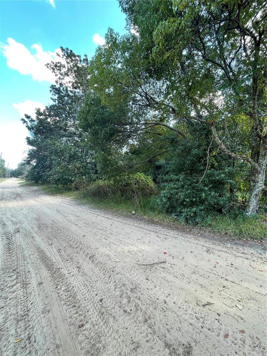 Build your dream retreat on this peaceful vacant parcel located in Umatilla. Surrounded by quiet country living and the natural beauty of the Ocala National Forest, this property offers the ideal setting for a custom home, weekend getaway, or investment project. Enjoy the freedom of a spacious, open lot with plenty of room for a home, workshop, garden, or recreational space.

With convenient access to SR 19, Hwy 42, and nearby lakes and trails, this location provides the perfect balance of privacy and practicality. Whether you're looking for a serene homestead or a flexible piece of land to shape your future vision, this parcel delivers exceptional potential in a highly desirable rural corridor.