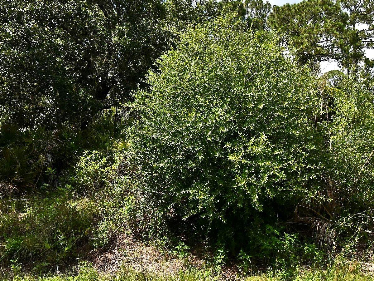 Discover an excellent opportunity to build your dream home or invest in the growing city of North Port! This 10,000 sq ft residential lot is located in the desirable Port Charlotte Subdivision, offering a quiet setting with no HOA or CDD fees. Conveniently situated near shopping, schools, parks, and the expanding Wellen Park community, this property provides both comfort and accessibility. The lot is located in Flood Zone X (no flood insurance required) and is zoned RSF2, allowing for the construction of a single-family home. Whether you’re a builder, investor, or future homeowner, this is a great chance to own land in one of Southwest Florida’s fastest-growing areas.