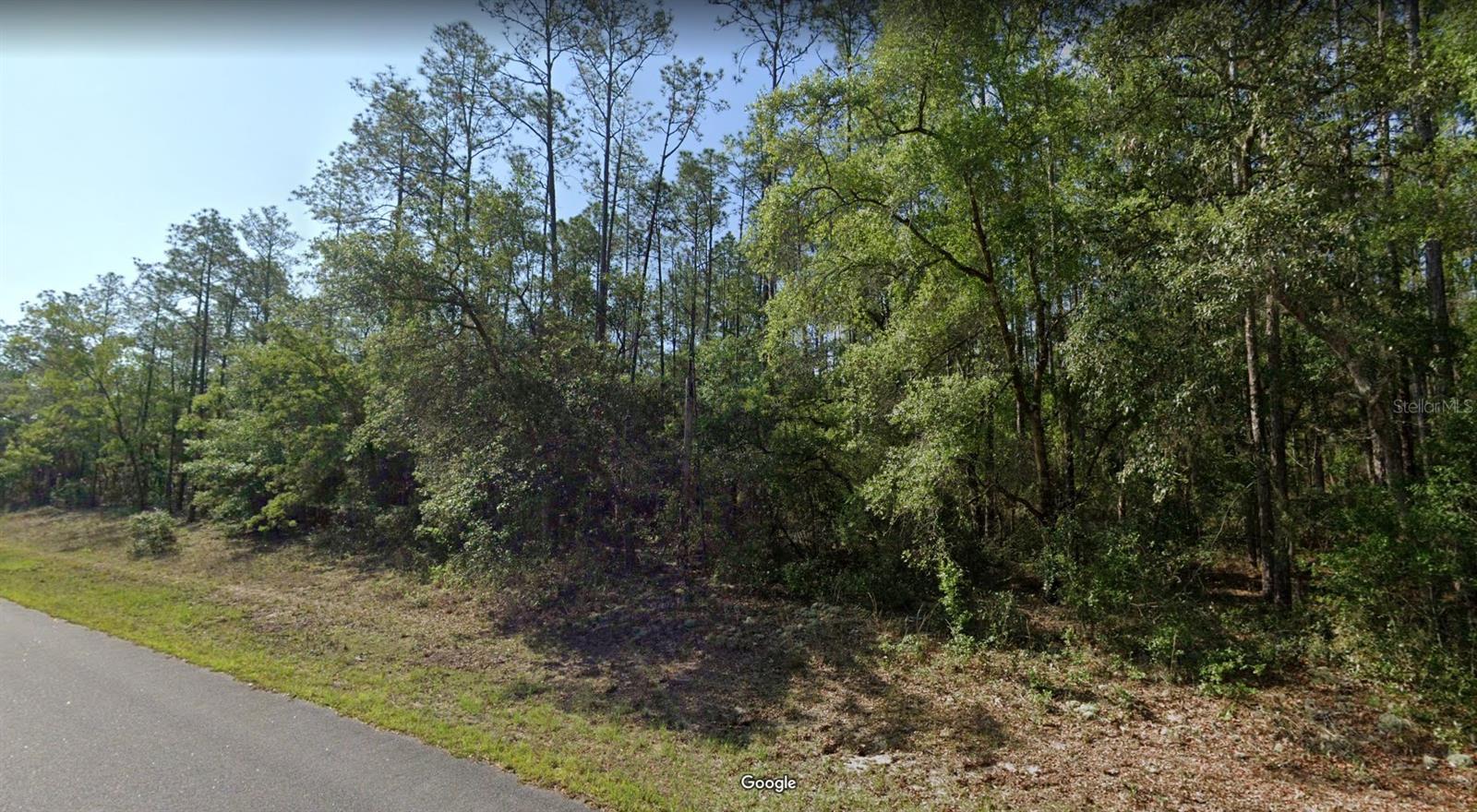 This piece of sunny Florida is literally minutes from US 41/N Florida Avenue, leading to the famous Rainbow Springs State Park (in Dunnellon) offering a crystal clear 70-degree year around swimming hole, beautiful waterfalls, and walking trails. The town of Dunnellon also provides shopping, restaurants and more. Citrus Springs has elementary & middle schools, churches, doctor’s offices, tennis courts, baseball fields, a golf course, a playground and access to the 46-mile Withlacoochee State Bicycle Trail. No mandatory HOA! No mobile homes allowed in Citrus Springs!!! CALL TODAY!
