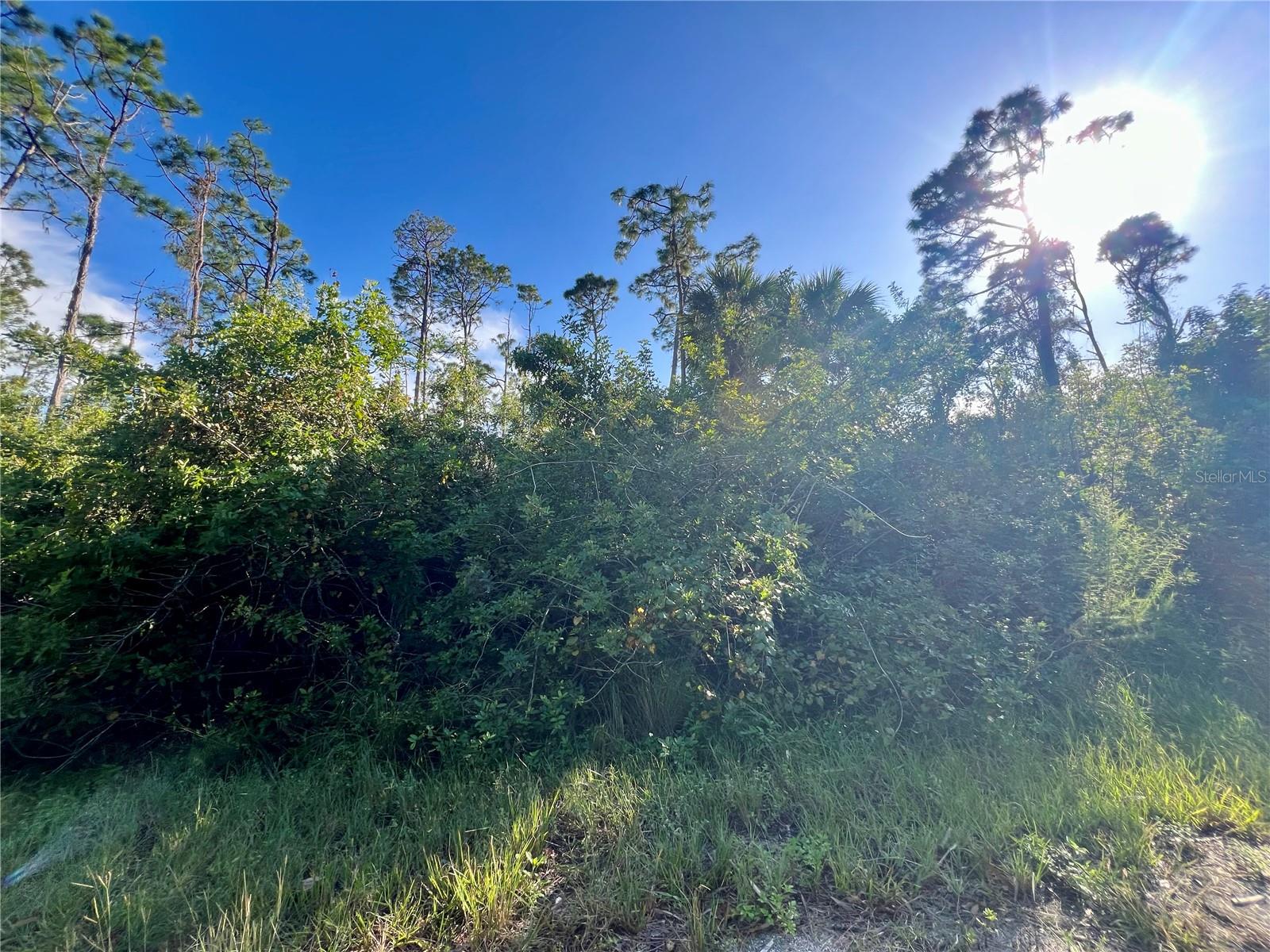 Very nice southern rear exposure lot in beautiful Northport. If you would like serenity this is the place to build, Wildlife viewing, Highway I-75 is only minutes away, Peace River is about 15 min from site. Boating, Kayaking, Fishing all year long. Also public boat ramps along with hiking trails. Come enjoy all the area offers: Don’t let this opportunity pass you by, get your piece of paradise today!