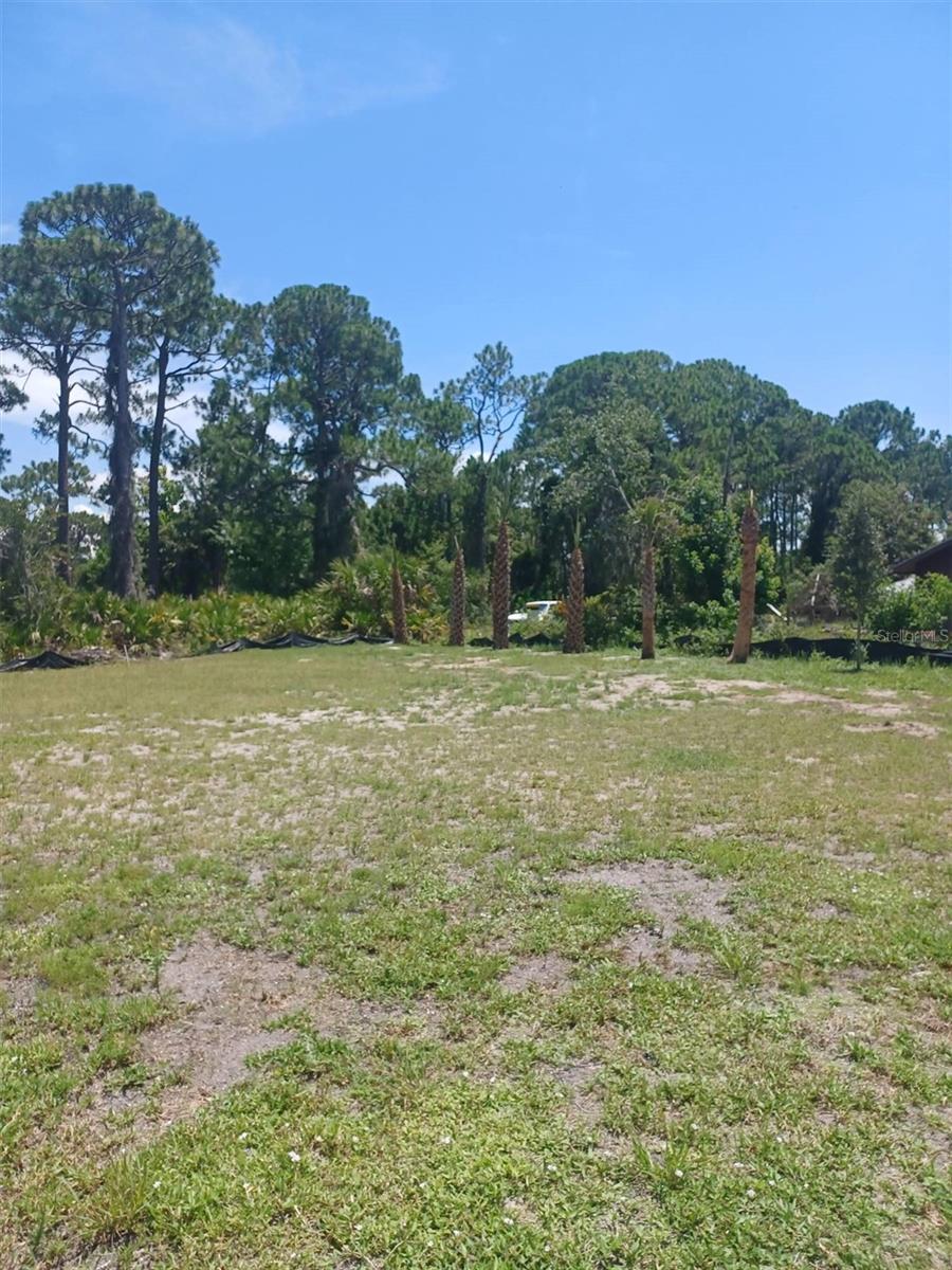 This 0.33-acre buildable lot in Edgewater offers a rare opportunity to build in a prime yet private location. The property is prepped and ready to build, with city water available and electricity at the road, and is located in the county, allowing for lower taxes. Tucked away on a quiet dead-end road, the lot provides excellent privacy while being just minutes from shopping, hospitals, restaurants, beaches, and the Intracoastal Waterway. Convenient, peaceful, and ideally located, this is a must-see property that won’t last long.