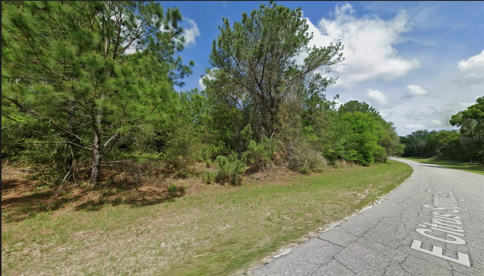Discover the perfect canvas to build your Florida dream home! This vacant residential lot is nestled in the charming community of Citrus Springs, offering a wonderful opportunity for buyers looking to establish roots in one of Marion County’s most sought-after neighborhoods. Situated along a paved street, this lot provides convenient, year-round access with no dirt road hassles — a feature that sets it apart and makes construction planning straightforward from day one. Residents enjoy proximity to the Withlacoochee State Forest, the Rainbow River, and the charming shops and dining of downtown Dunnellon — all just a short drive away. Whether you’re planning to build now or invest for the future, this lot offers exceptional value in a growing area with no HOA restrictions. With utilities typically available in the area and easy access to US-41 and CR-39, commuting to Crystal River, Ocala, or beyond is a breeze.