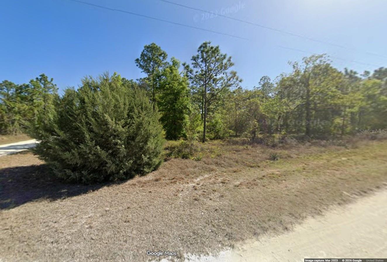 Design your masterpiece on this expansive, nearly half-acre homesite nestled in the rapidly appreciating Hernando Valley. This premium lot boasts direct main-road access, offering a seamless blend of convenience and curb appeal for your custom build. Positioned minutes from Florida’s iconic natural springs and lush state parks, this property represents a rare chance to secure a lifestyle defined by both modern growth and outdoor adventure.
